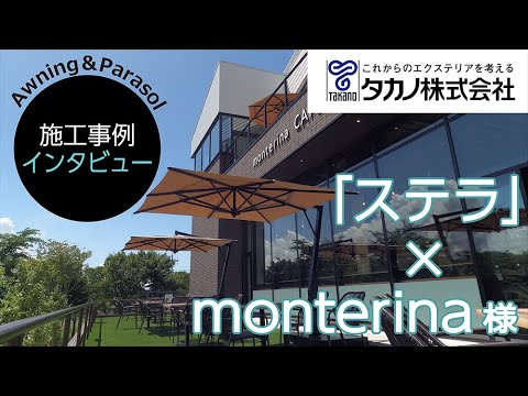 parasol-design-pergola-métal-verre-voiture-smart