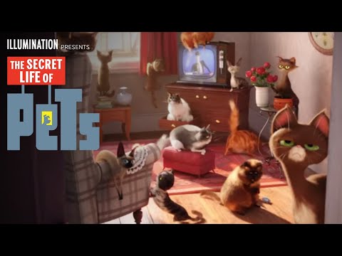 The Secret Life of Pets (Character Spot 'Cat')