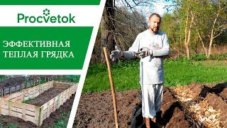 рассада баклажанов и перцев видео. Смотреть фото рассада баклажанов и перцев видео. Смотреть картинку рассада баклажанов и перцев видео. Картинка про рассада баклажанов и перцев видео. Фото рассада баклажанов и перцев видео