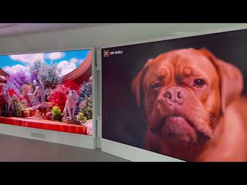 U-Touch Samsung LED Wall IAB 146 inch Cisco FR2025