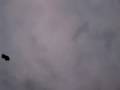 Tornado