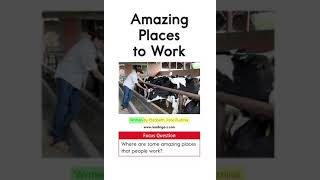 Amazing Places to Work
