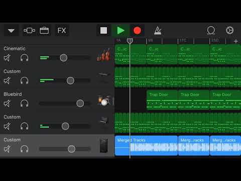 Disparate Youth (Garage Band Cover)