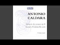 Sonata da camera in F Major, Op. 2, No. 8: IV. Tempo di sarabanda