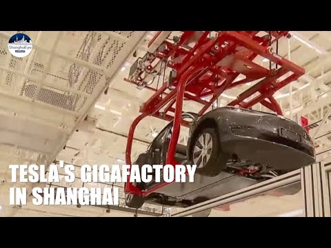 A rare glimpse of Tesla's Model Y automatic assembly line at Shanghai Gigafactory