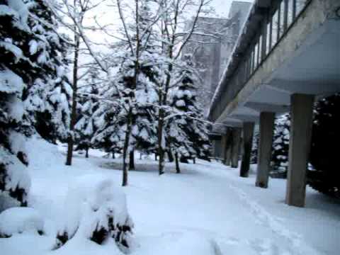 Sanatorium "Amber coast"