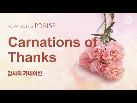 [New song | Praise] Carnations of Thanks | World Mission Society Church of God