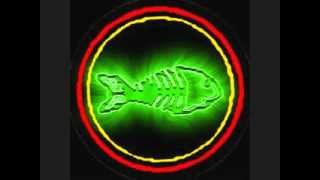 FISHBONE  YEAR OF THE DRAGON DIRTY WALT &amp; RODCORE:The AYP Interview Pt 1