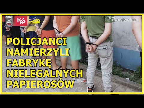 Region: Fabryki i magazyny pełne nielegalnych papierosów