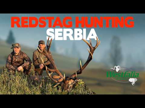 World-Class Red Stag Hunting Adventure in Serbia - Vojvodina