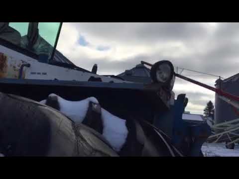 download lagu mp3 mp4 40 Fw, download lagu 40 Fw gratis, unduh video klip 40 Fw