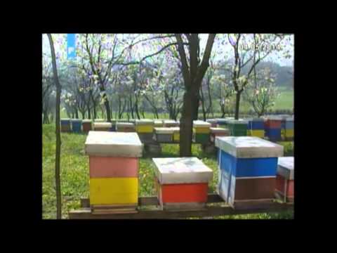 Ekrem Karahodžić - Zelena panorama, 20. april i 4. maj 2014.