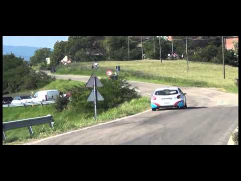 Giorgini-Salgaro Peugeot 208 R2B Publirace - PS 2 Montebaranzone