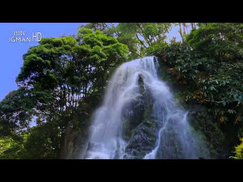 RAMAZANSKA DOVA 15. DAN - MTV IGMAN