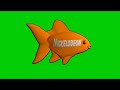 Nickelodeon Fish Logo Green Screen