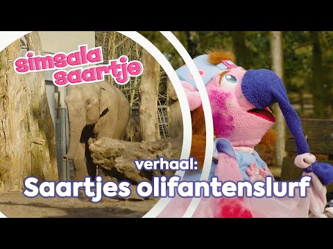 SAARTJES OLIFANTENSLURF 🐘 | SIMSALA SAARTJE 🐽 | Educatieve Kleutertelevisie |