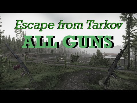 Escape from Tarkov - ALL GUNS Animations (Patch 0.12.4)