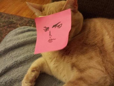 Dead by Disconection