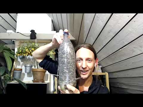 GardenR:s bästa tips för biologisk mångfald i trädgården