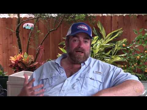 download lagu mp3 mp4 White Smoke Smoker, download lagu White Smoke Smoker gratis, unduh video klip White Smoke Smoker