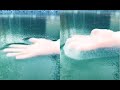 Really Stretchy Ice