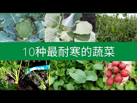 , title : '10种最耐寒的蔬菜,适合早春种植'