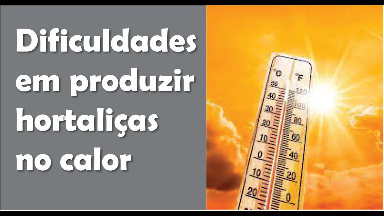 Produção de hortaliças em altas temperaturas