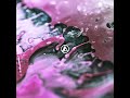 Linkin Park The Emptiness Machine