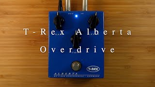 Video thumbnail for T-Rex Alberta | Underrated Danish Overdrive | by Andrew Cheng - Guitarist