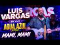 Luis Vargas -Mami Mami  ( En Vivo Agua Azul )