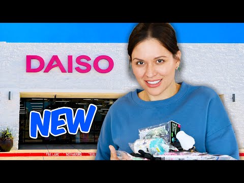 I Bought Japanese Dollar Store Products: Dollar Tree Has Competition?