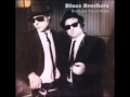 The Blues Brothers   Groove Me