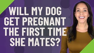 Will my dog get pregnant the first time she mates?