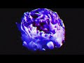 Nirvana In Bloom Fan Made Music Video