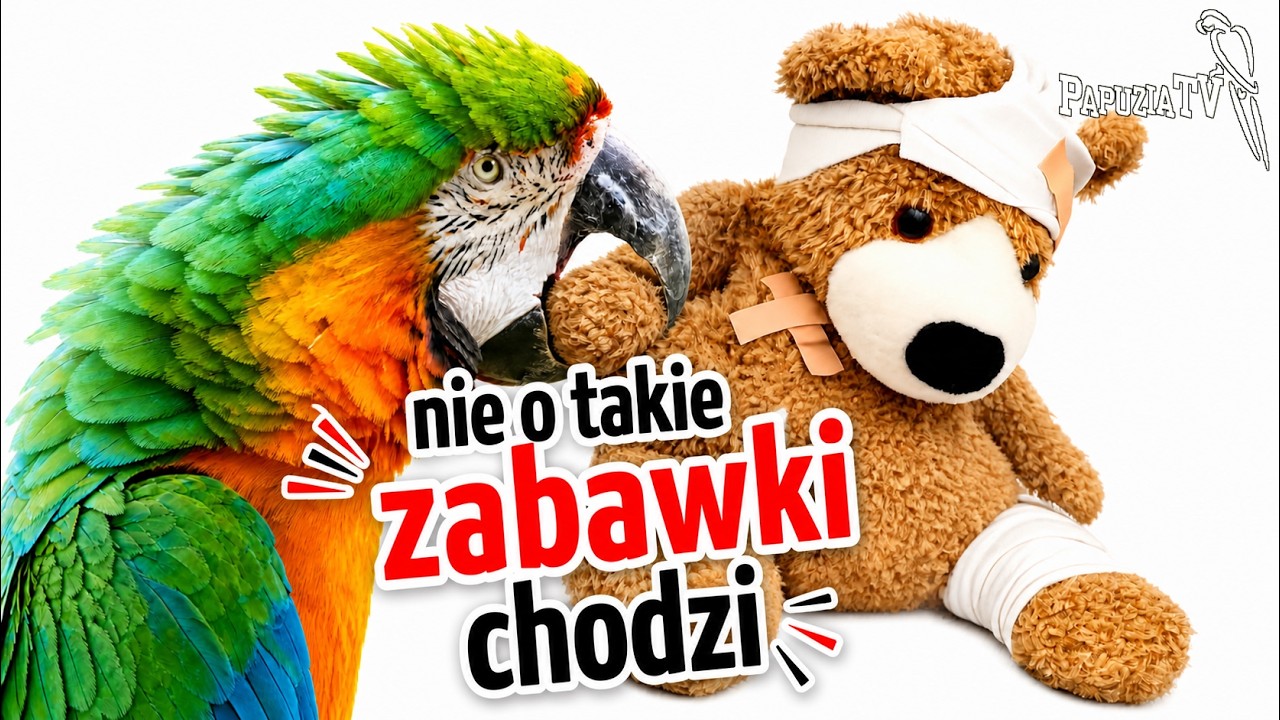Игрушки для попугаев