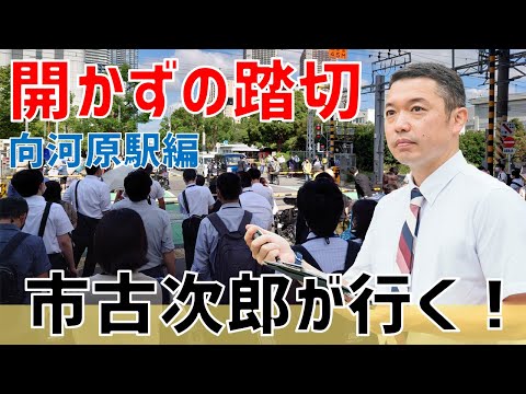 【動画】向河原駅前踏切に「賢い踏切」導入へ