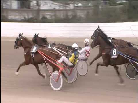 Trotto 19/03/2019 - 3ª corsa