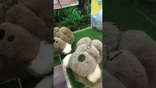 10月も暑いかな？