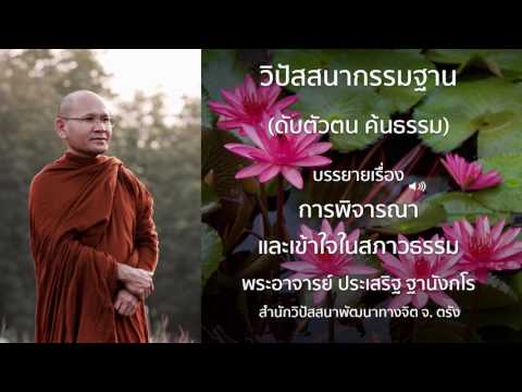 พระประเสริฐ ฐานังกโร บรรยายเรื่อง การพิจารณาและเข้าใจในสภาวธรรม
