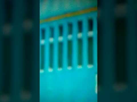 Trenuri Bratca partea a 2-a.  03.07.2011