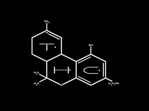 Pixel vs Domestic vs Goblin-Loop and Things