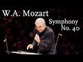 W.A. Mozart: Symphony No. 40, K. 550 (HD/1440p)