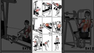 9 Powerfull Back Workout to Transform Upper Body| #workout #backworkout