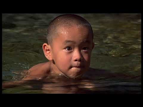 Warum Bodhi Dharma in den Orient aufbrach (Film, HD)