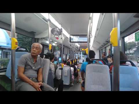 [SBST] ZF Ecolife Kickdowns - SG1837J on Service 53 - Euro VI Man NL323F A22