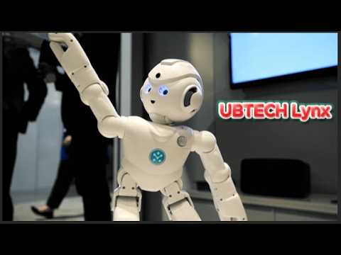 Lynx: The First Video-Enabled Humanoid Robot with Amazon Alexa