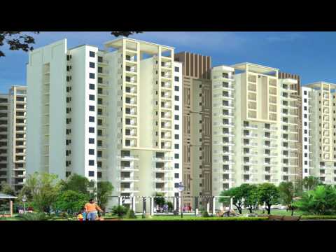 Walkthrough Walkthrough