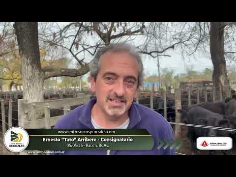 05-05-26 - Ernesto Tato Arribere - Consignatario - Rauch, Bs.As.