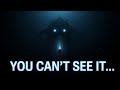 NIGHT OCEAN The Unseen Hunt Of Apex Predators TERRIFYING