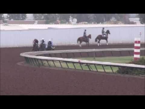 Facts Matter (inside horse by rail) June 2, 2017 Los Alamitos